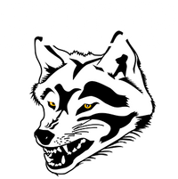 Shop Tom Darkwolf